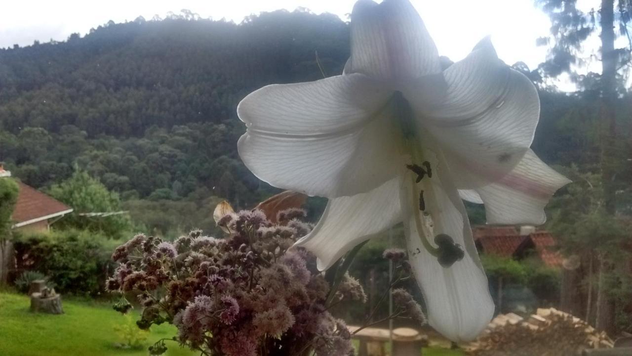 Morada Rancho Da Lua Bed & Breakfast Monte Verde  Dış mekan fotoğraf